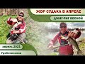 ЖОР СУДАКА в АПРЕЛЕ. Джиг-риг весной 2021