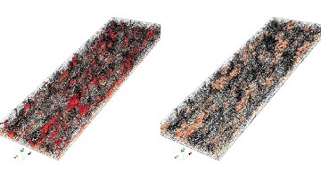 inertial particles with high and low speed streaks