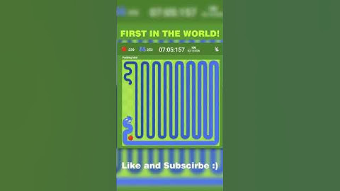 Google Snake Twin Mode in Fast speed