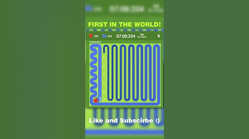 Google Snake Twin Mode in Fast speed