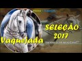 Seleção de Vaquejada - As Melhores 2017 🐂🏇