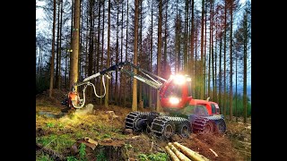 🌲 Komatsu 931XC • *OnboardView* • Harvester in Action • Forstbetrieb Surtmann • Loggingaction • #1🌲