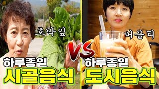 하루종일 시골음식 VS 도시음식 뭐가 더 맛있을까?[ 공대생네 가족 ]