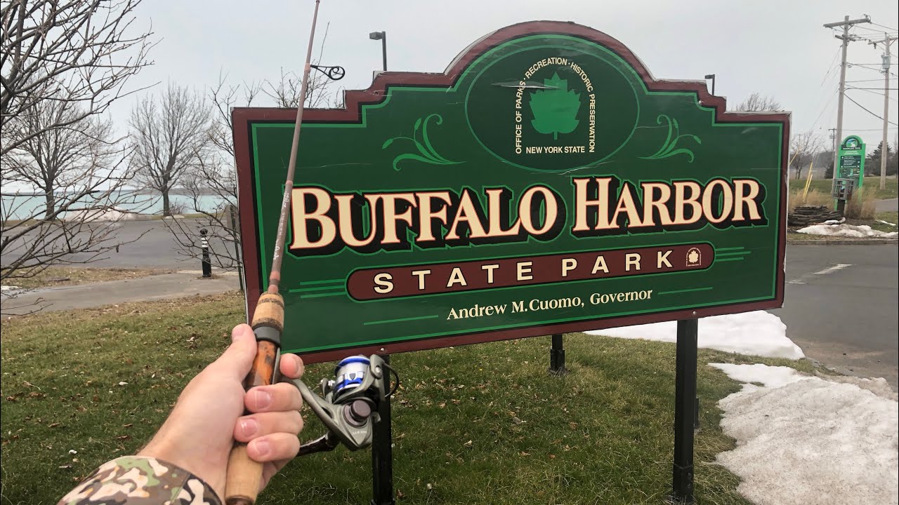 Perch Fishing the Buffalo Small Boat Harbor YouTube