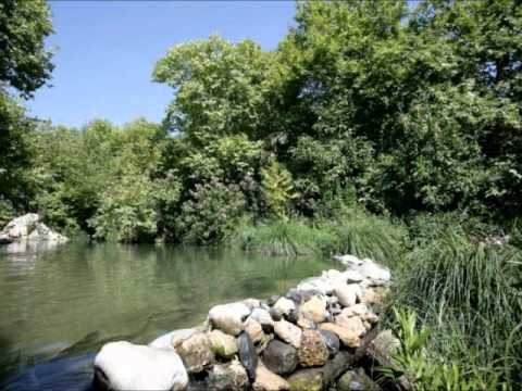 علي الديك فلاح