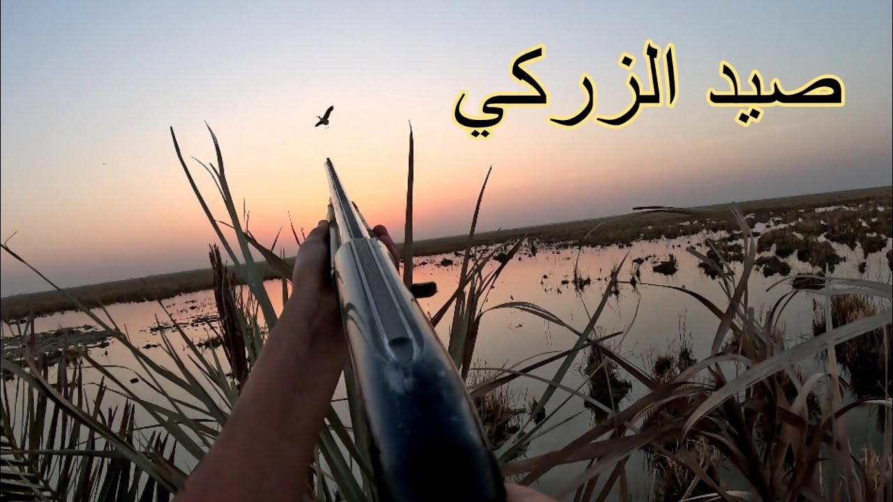 غرگ بينه البلم نص اليل في مغامره صيد الزركي والرخيوي - YouTube