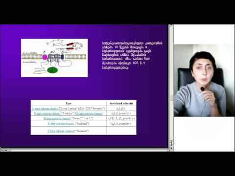 ნეირობიოლოგიის კვლევის თანამედროვე მეთოდები, ლექცია2, ნაწილი3, ეკა ლეფსვერიძე,  D005 2 05092