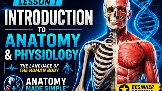 Introduction to Anatomy & Physiology | Lesson 1 | The Language of the Human Body