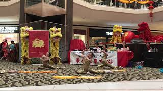 20190202-Fairfax Chinese Dance Troupe-Golden Fish-2