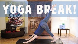 Yoga Break! 25 Min Lunch Break Yoga Flow