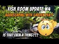 Fish room update 4  new aquarium  using garden peat in aquariums
