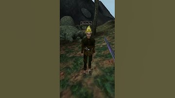 Killing the adoring fan in Morrowind every day until Skywind and Skyblivion are released Day - 197