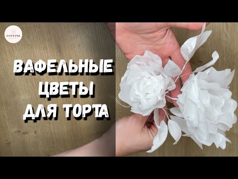 Видео: Вафельные цветы для торта 