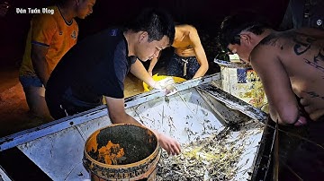 Bắt Được Rất Nhiều Cá Sau Lũ Lịch Sử Tại Miền Trung Năm 2025 - Văn Tuấn Vlog