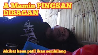 pingsan dibagan kena patil ikan sembilang || mancing bagan pertamina