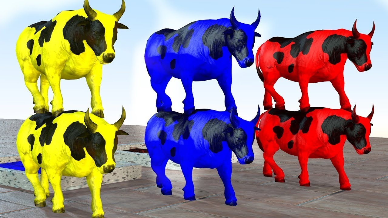 Long Slide Game With Elephant Gorilla Buffalo Hippopotamus Tiger - 3d Animal Game - Funny 3d Animals