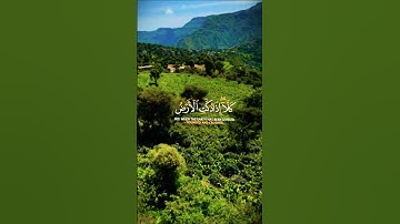 تلاوة خاشعة بصوت يريح القلب #elmulquranعلم #قران_كريم #تلاوة #المصحف #trend #اكسبلور #aslam