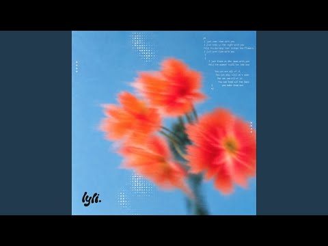 lyli. - flower