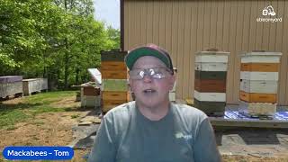 Tuesday the 16th Bee Chat. Update on the 23 VSH Cells and splits.