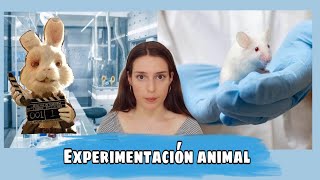 Experimentacion Animal A Favor O En Contra