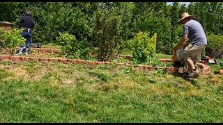Planting Squash and Pumpkin Seeds for the Fall Growing Vegetables From Seeds Parasites In Pumpkin Seeds Squash