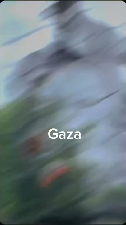 Pleci Gaza
