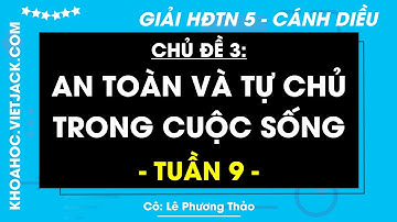 Hoạt động trải nghiệm lớp 5 Tuần 9 - trang 28, 29, 30 | Cánh diều (DỄ HIỂU NHẤT)