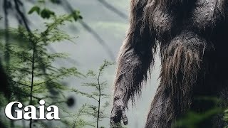 Tracking Signs of SASQUATCH with Researcher Jim Myers