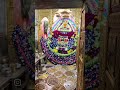 Jay shree shyam 🙏 #shyam #khatuwalashyam #minivideos #shorts #trendingvideos
