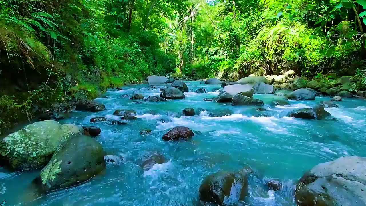 Peaceful Morning River Sounds 🌲💧 Calm Water Sounds for Relax
