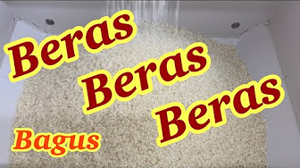 Selain Daripada Itu Youtube