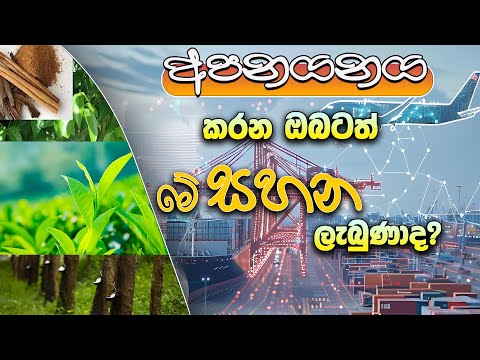 අපනයනය කරන ඔබටහ් මේ සහන ලැබුනාද? | Concessions given by the Department of Exports Agriculture