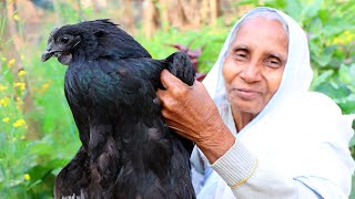 Karaknath Chicken | Black Chicken Recipe | Village Style Cooking Koroknath Chicken by our Grandma