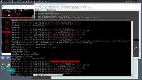 Резервное копирование системных файлов Linux | Fedora Server 34