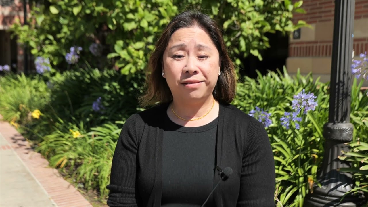 Teach AAPI (About US)