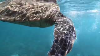 A film about rethinking plastic and our oceans