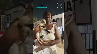 Taking My Baby Goat Out In Public