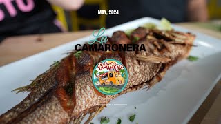 MIAMI’S BEST FRIED SEAFOOD? | LA CAMARONERA | PUT ME ON