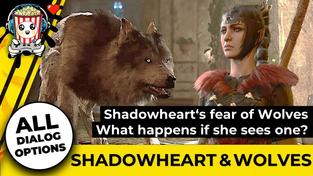 Shadowheart's Fear of Wolves 🐺 Baldur's Gate 3 YouTube