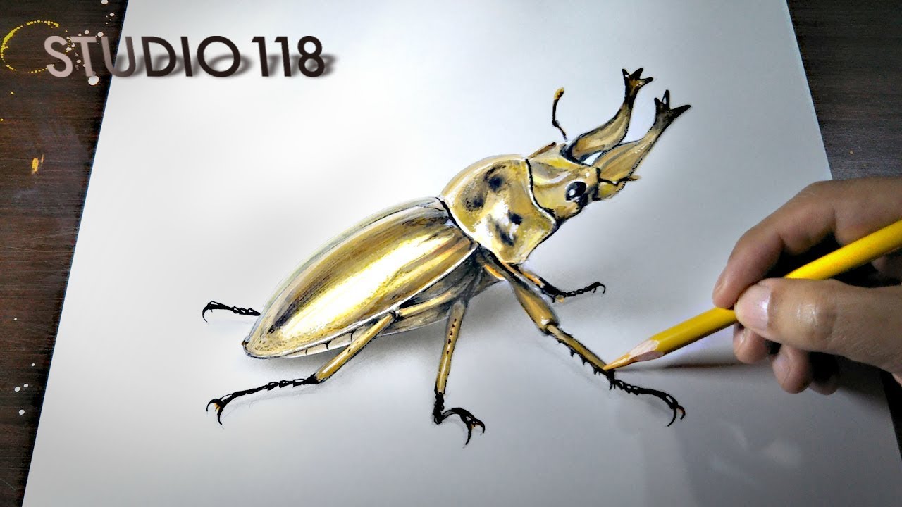 I Drew A Realistic Stag Beetle Youtube