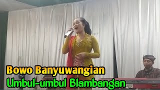Download Lagu Umbul-umbul Blambangan Banyuwangi - Gelang Alit ‼️ Sinden Irawati MP3 Download Lagu Umbul-umbul Blambangan Banyuwangi - Gelang Alit ‼️ Sinden Irawati MP3