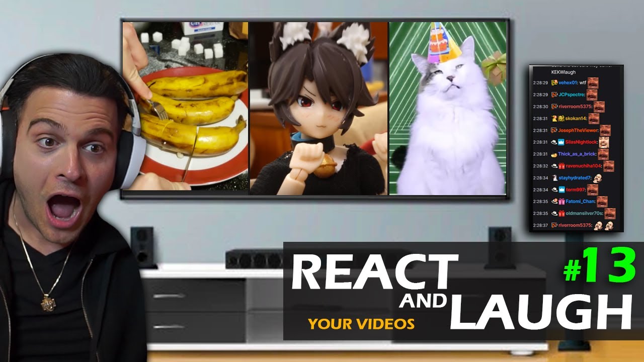 Reacting and Laughing to the videos YOU sent #13