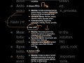 vocab with mnemonic part 2 #shorts #vocab