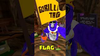 FINDING SOMEONE WITH THE FLAG COSMETIC!! #gtag #vr #recommended #viralshorts #fyp #wgitachi #viral