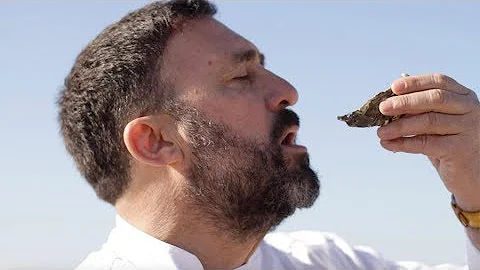 Qual animal come ostra?