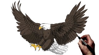 How To Draw A Bald Eagle Hunting Step By Step