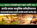 सर्वात स्वस्त आधुनिक गावरान कोंबडीपालन - निखील कडू Gavran Poultry Farm Success Story of Nikhil Kadu