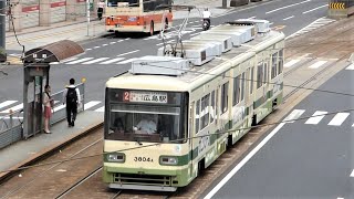 広島電鉄　3800形 3804編成 路面電車　ひろでん 胡町電停～銀山町電停