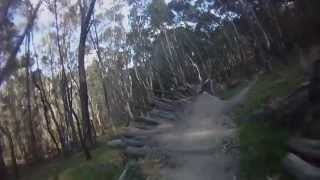 Aneurysm Lysterfield -Team Wombat Mountainbike
