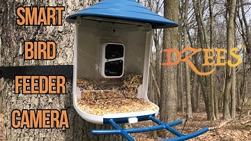 Dzees Smart Bird Feeder with Camera